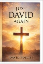 Just David Again: How God carries us through our most difficult Journeys