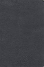 RVR 1960 Biblia De Estudio Letra Gigante, Gris, Símil Piel