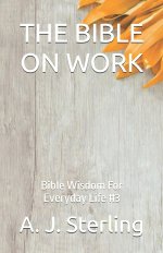 THE BIBLE ON WORK: Bible Wisdom For Everyday Life #3
