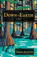 Down to Earth: A Novel