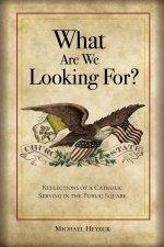 What Are We Looking For? Reflections of a Catholic Serving in the Public Square