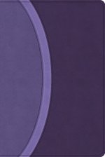 CSB Rainbow Study Bible, Purple Leathertouch