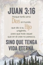 Spanish Plaque-John 3:16 (Juan 3:16) (4 x 6)