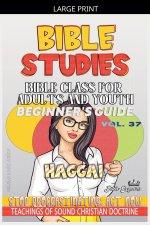 Bible Class for Adults and Youth: Beginner's Guide -  Haggai