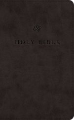 ESV Premium Church Bible, Large Print (TruTone, Black)