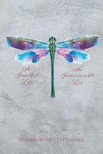 An Imperfect Life, An Immeasurable Love