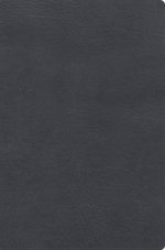 RVR 1960 Biblia De Estudio De Letra Gigante, Negro