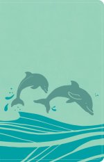 KJV Easy-for-Me Bible for Early Readers, Seafoam