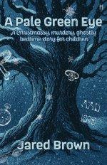 A Pale Green Eye: A Christmassy, Murdery, Ghostly Bedtime Story for Children