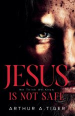 Jesus Is Not Safe: The Jesus We Think We Know - and the One the Gospels Reveal