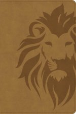KJV One Big Story Bible, Easy-to-Read Optimal Type, Brown