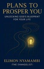 Plans to Prosper You: Unlocking God's Blueprint for Your Life