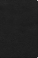 CSB Connecting Scripture New Testament, Black Genuine Leather