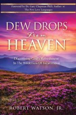 DEW DROPS From HEAVEN: Discovering God's Refreshment In The Wilderness Of Incarceration
