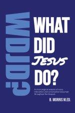 What Did Jesus Do?: A Gospel-Saturated Study of the Life of Christ
