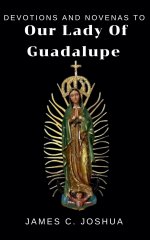 Devotions And Novenas To Our Lady Of Guadalupe