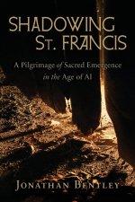 Shadowing St. Francis: A Pilgrimage of sacred emergence in the age of AI