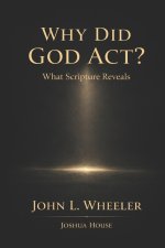 Why Did God Act?: What Scripture Reveals