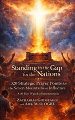Standing in the Gap for the Nations  - 320 Strategic Prayer Points for the Seven Mountains of Influence: A 40-Day Watch of Intercession for the Church