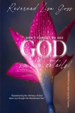 DON'T FORGET TO SEE GOD IN THE DETAILS :  EXPERIENCING THE INTIMACY OF GOD WHEN YOU THOUGHT HE ABANDONED YOU