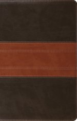 ESV Large Print Personal Size Bible, Red Letter (TruTone, Forest/Tan, Trail Design)