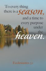 Funeral Bulletin: A Time (Package of 100)