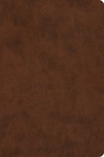 ESV Value Compact Bible (TruTone, Brown)