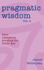 Pragmatic Wisdom Vol. 2