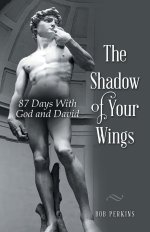 The Shadow of Your Wings: 87 Days With God and David