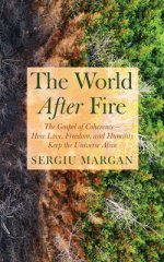 The World After Fire