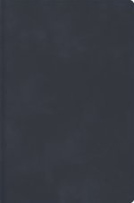 RVR 1960 Biblia Descubre Tu Fe, Gris Azulado, Símil Piel