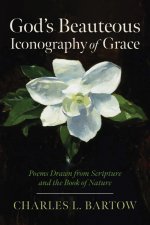 God's Beauteous Iconography of Grace