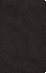 ESV Large Print Value Thinline Bible, Red Letter (TruTone, Black)