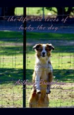 The Life and Loves of Lucky the Dog