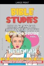 Bible Class for Adults and Youth: Beginner's Guide: Nehemiah