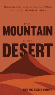 The Mountain in the Desert: Discovering God's Heart in the Wilderness of Delay