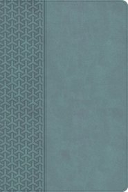 CSB Everyday Study Bible, Earthen Teal Leathertouch