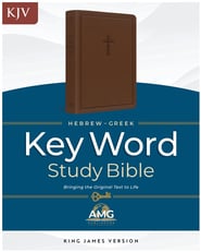 KJV Hebrew-Greek Key Word Study Bible, Brown, Indexed