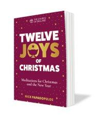 10 x Twelve Joys of Christmas Pack