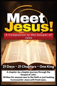 Meet Jesus: A Companion to the Gospel of John
