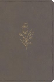 KJV Large Print Compact Reference Bible, Clay