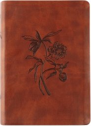 ESV Large Print Journaling Bible: Verona Theme