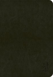 ESV Applying the Gospel Study Bible for Men (TruTone, Black)