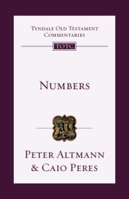 Numbers: An Introduction and Commentary