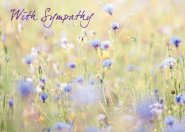 With Sympathy - Std Card Gloss