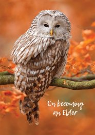 On Becoming An Elder - Standard Card Gloss (6 Pack)