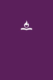 Father's Heart Bible (Paperback - Plum edition): An Intimate Translation