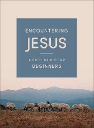 Encountering Jesus