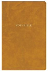 CSB Grace Bible, Camel, Dyslexia Friendly