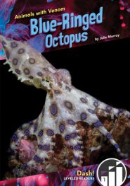 Blue-ringed Octopus